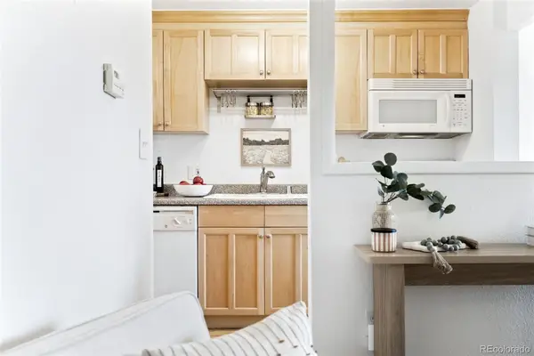 148 S Emerson Street #303, Denver, CO 80209