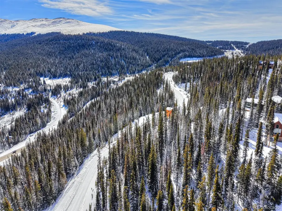 543 Carroll Lane, Breckenridge, CO 80424 - #3
