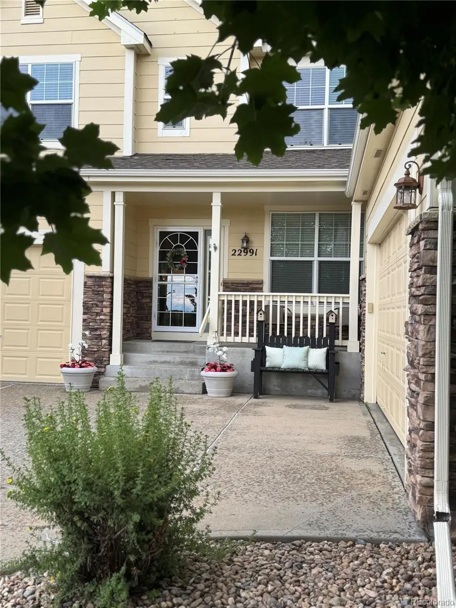 22991 Hope Dale Avenue, Parker, CO 80138 - #2