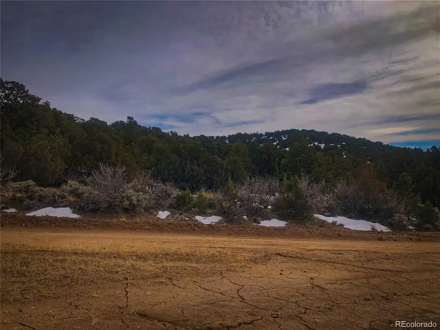 00 Preast Road, Fort Garland, CO 81133 - #3