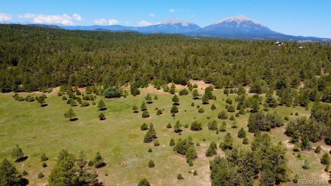 21270 Spirit Mountain Drive, Aguilar, CO 81020 - #1