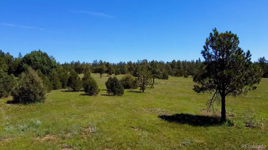 21270 Spirit Mountain Drive, Aguilar, CO 81020 - #3