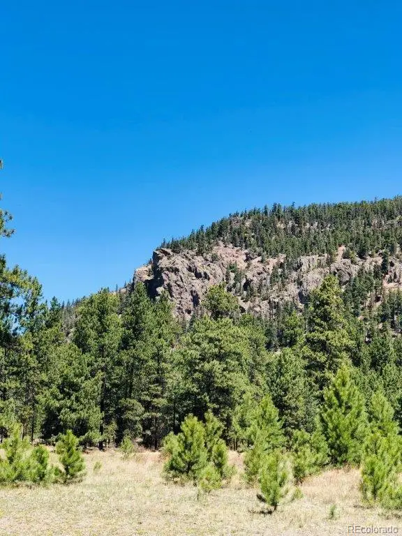 133 W Canyon View Drive, Antonito, CO 81120 - Image #2