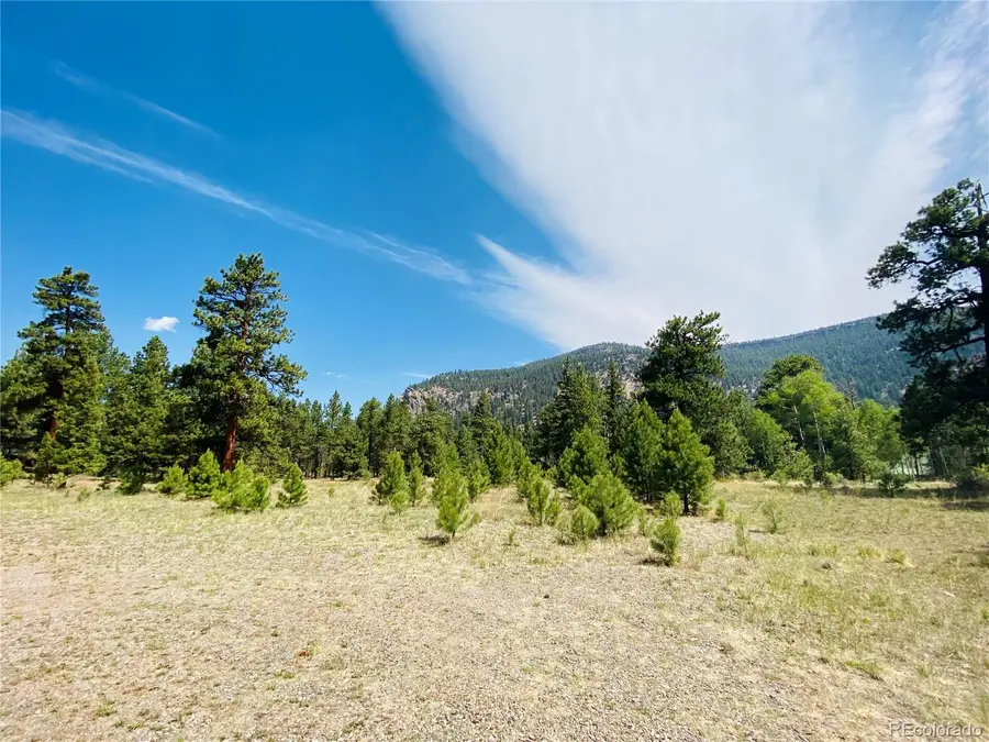 133 W Canyon View Drive, Antonito, CO 81120 - Image #3