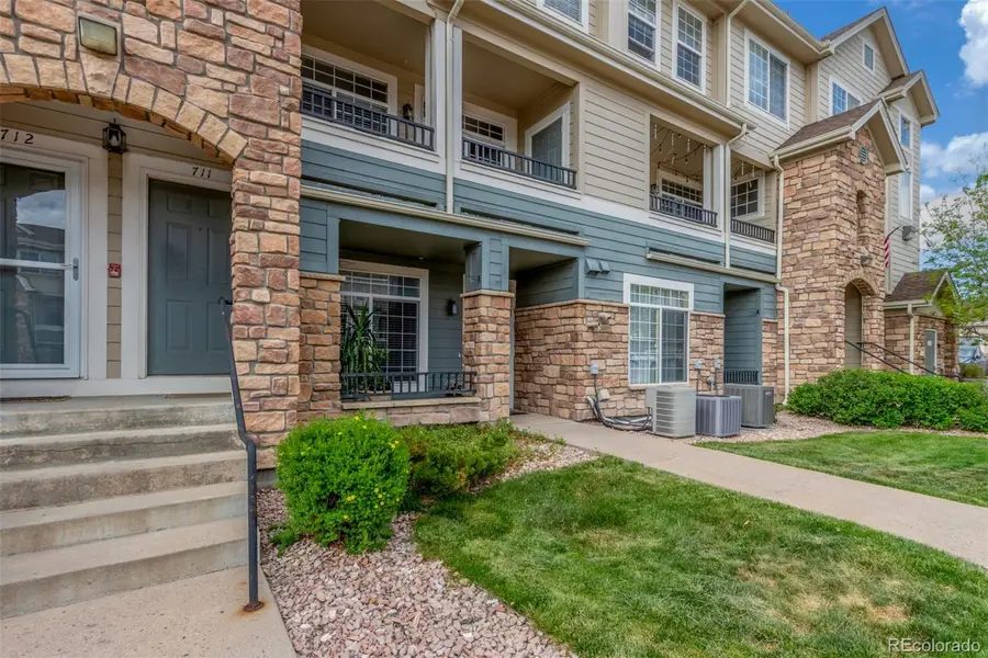 457 Black Feather Loop #702, Castle Rock, CO 80104 - #3