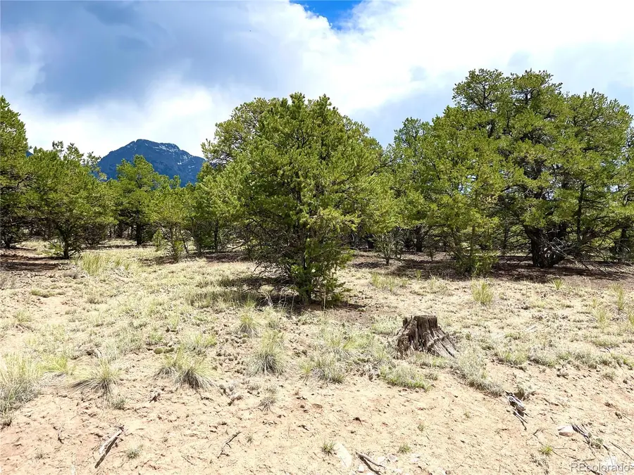 TRACT 4 PHILLEO ANNEX Philleo Way, Crestone, CO 81131 - #3