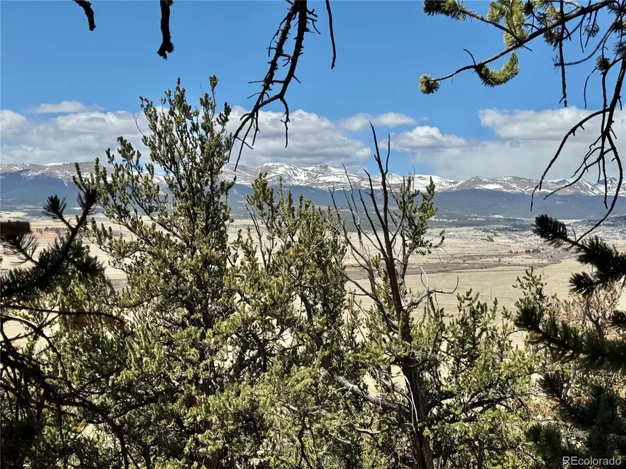 5013 Middle Fork Vista, Fairplay, CO 80440 - #3