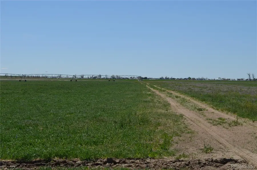 13955 Lanewood Street, Brighton, CO 80603 - #2