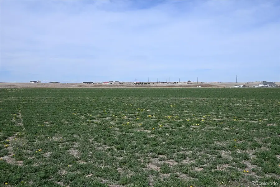 13955 Lanewood Street, Brighton, CO 80603 - #3