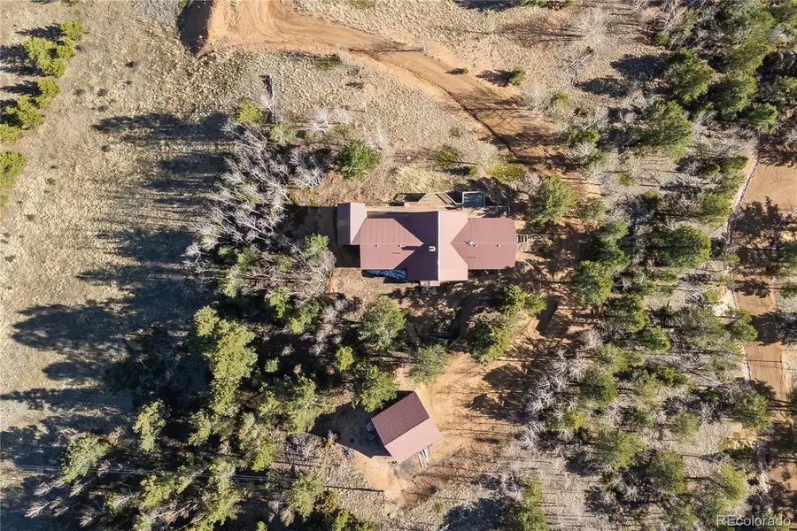 1008 Cantiberry Road, Divide, CO 80814 - #2
