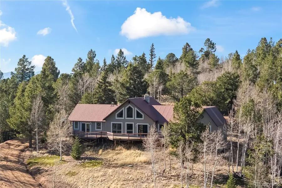 1008 Cantiberry Road, Divide, CO 80814 - #3