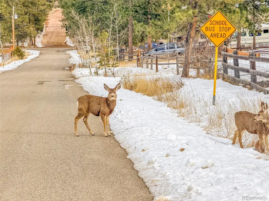 99 Mohawk Trail, Pine, CO 80470 - Image #2