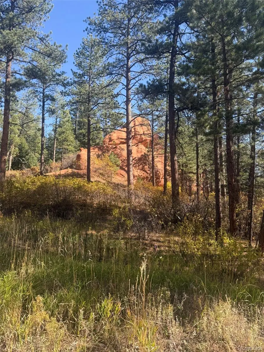 8181 Bannock Drive, Larkspur, CO 80118 - Image #2