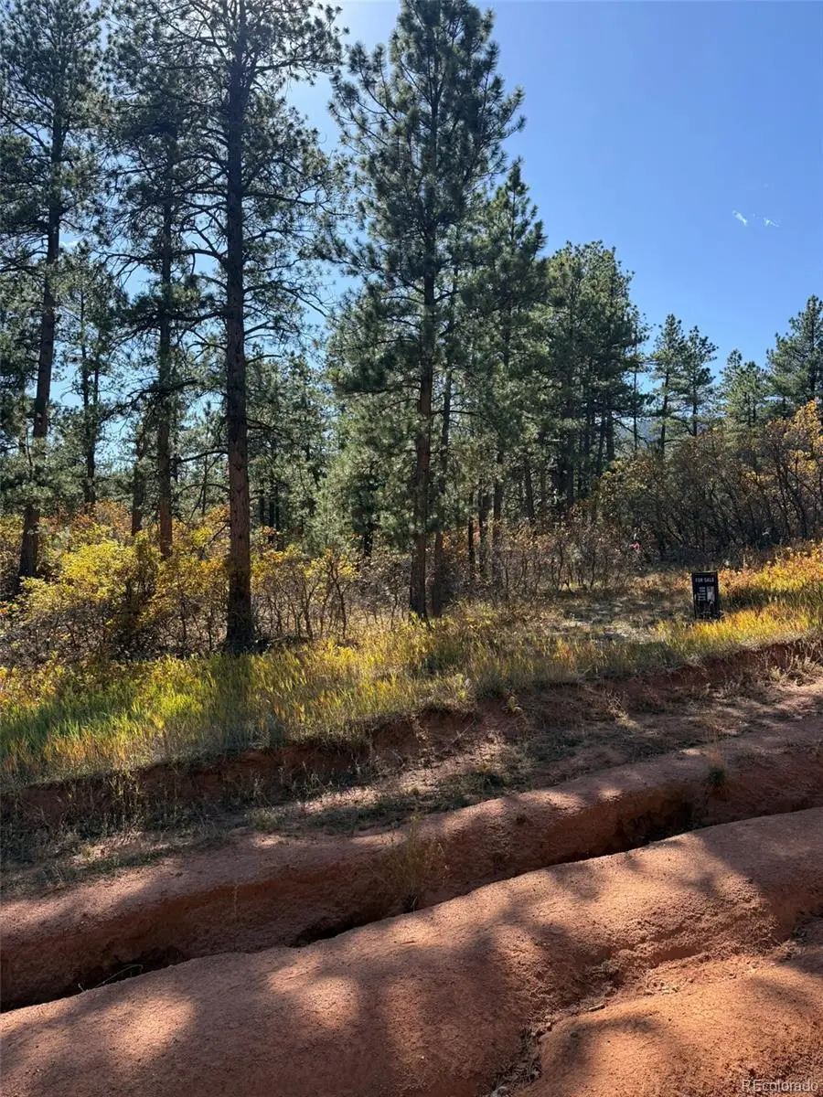 8181 Bannock Drive, Larkspur, CO 80118 - Image #3