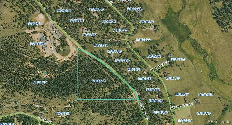 1504 County Road 43, Bailey, CO 80421 - Image #2