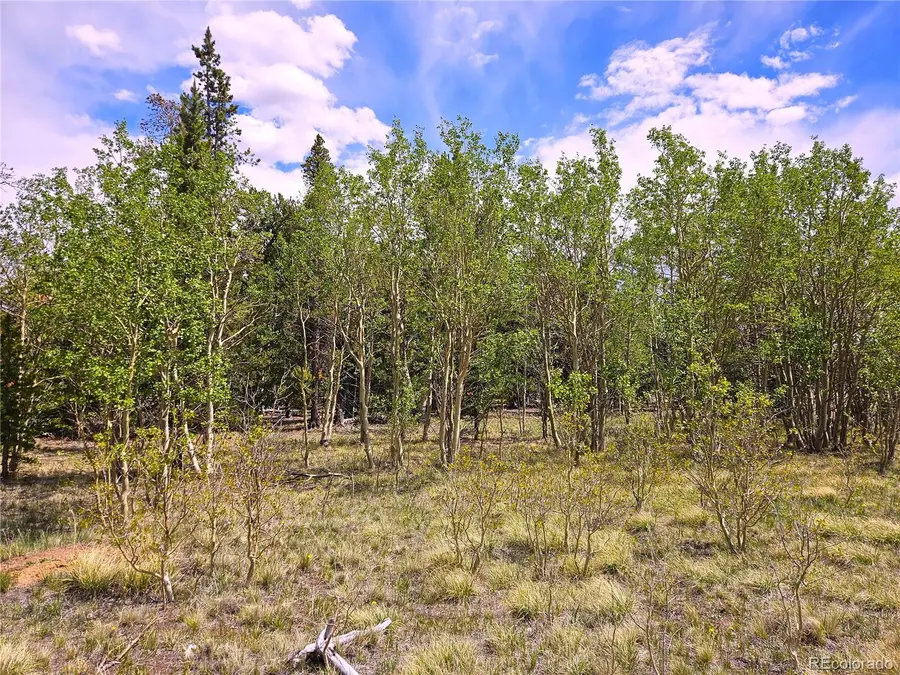 PCS#38033 Foxtail Drive, Fairplay, CO 80440 - #3