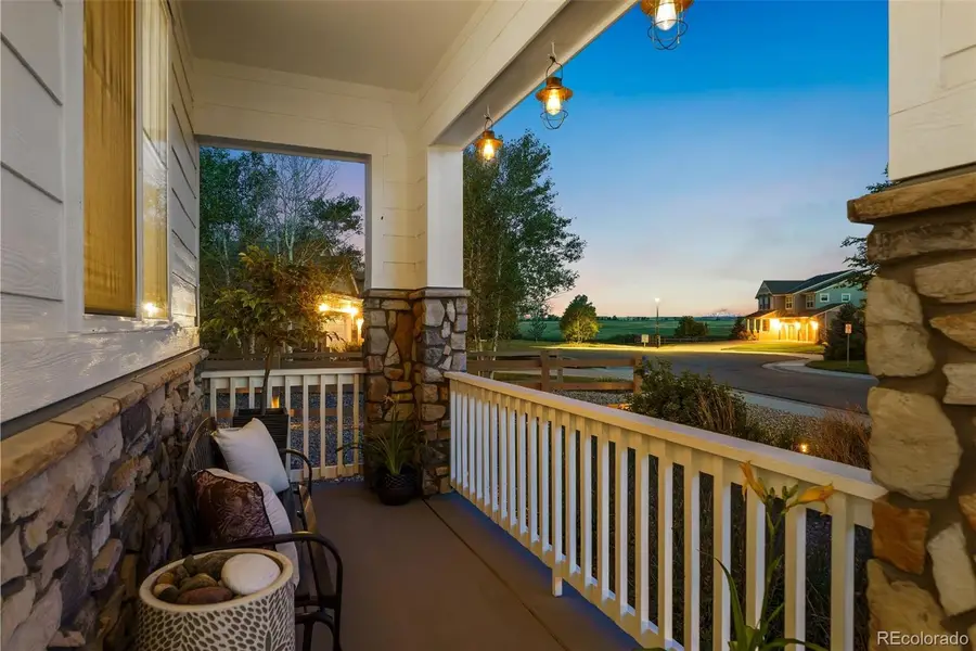784 Ellsworth Court, Castle Rock, CO 80104 - #2