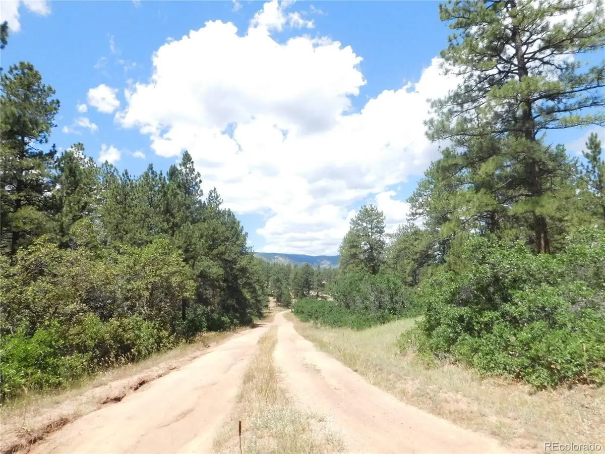 4977 Mohawk Drive, Larkspur, CO 80118 - #1