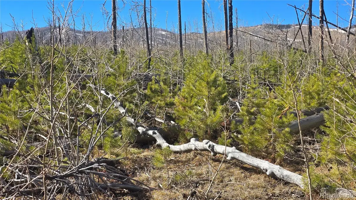 Lot 1460 Von Heyl Lane, Fort Garland, CO 81133 - #1