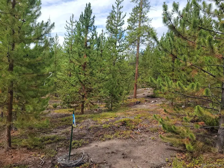 65 Grand County Road 6621, Grand Lake, CO 80447 - #2