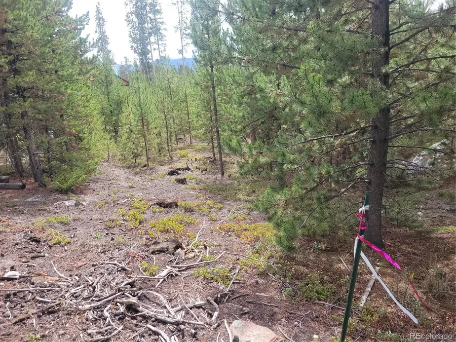65 Grand County Road 6621, Grand Lake, CO 80447 - #3