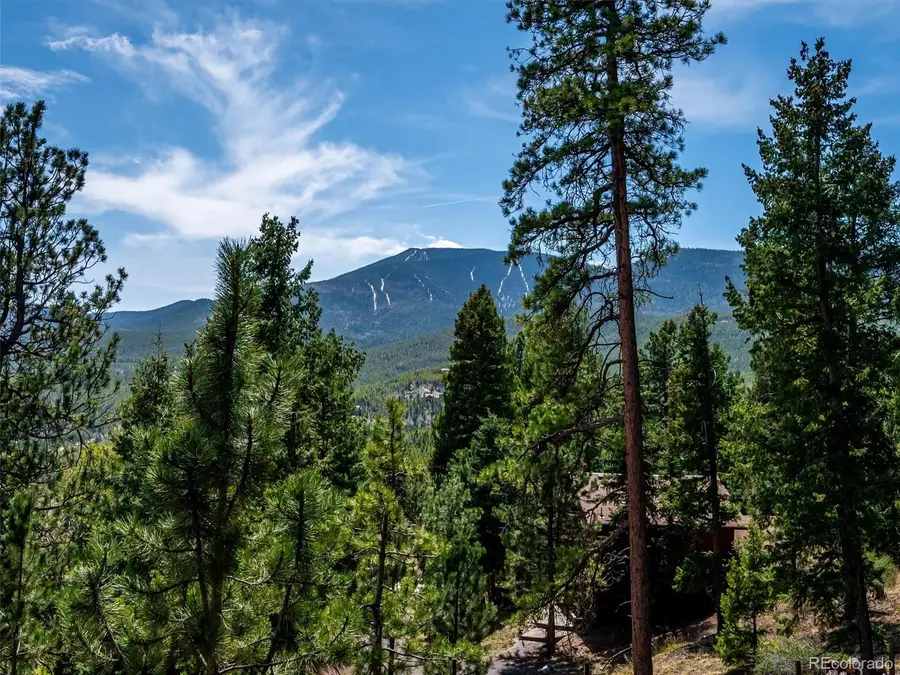 33847 Hemlock Lane, Evergreen, CO 80439 - #2
