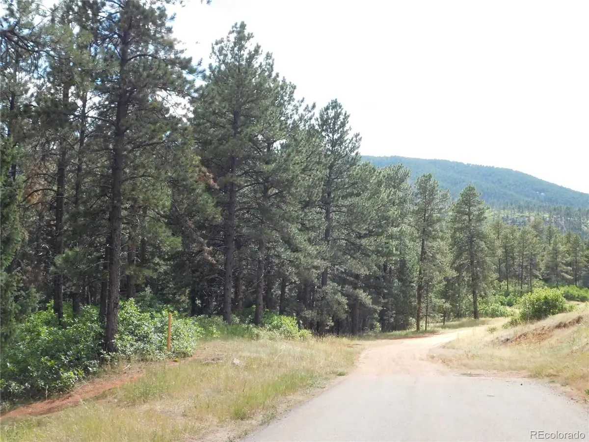 8169 Bannock Drive, Larkspur, CO 80118 - #1