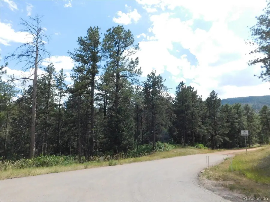 8169 Bannock Drive, Larkspur, CO 80118 - #2