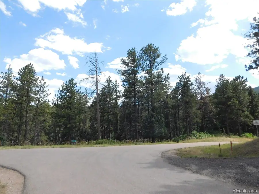 8169 Bannock Drive, Larkspur, CO 80118 - #3