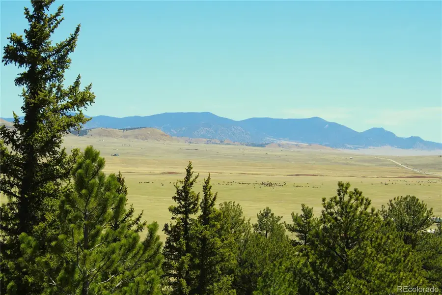 12451 Us-24, Hartsel, CO 80449 - #2