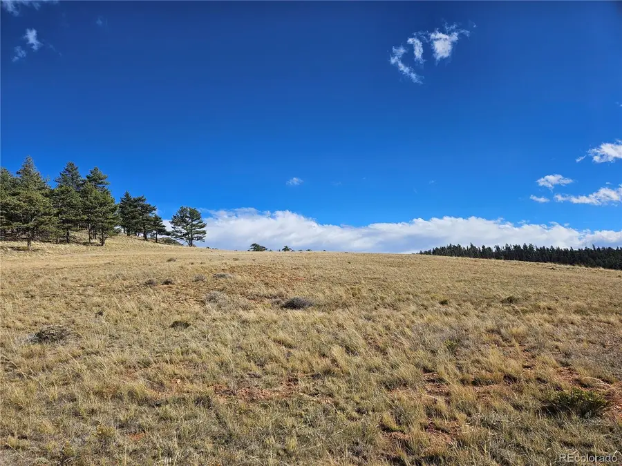 PCS#25251 Fernando Trail, Lake George, CO 80456 - Image #3