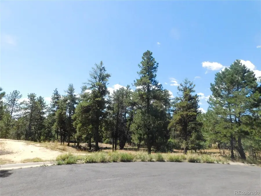 1392 Cameron Court, Larkspur, CO 80118 - #2