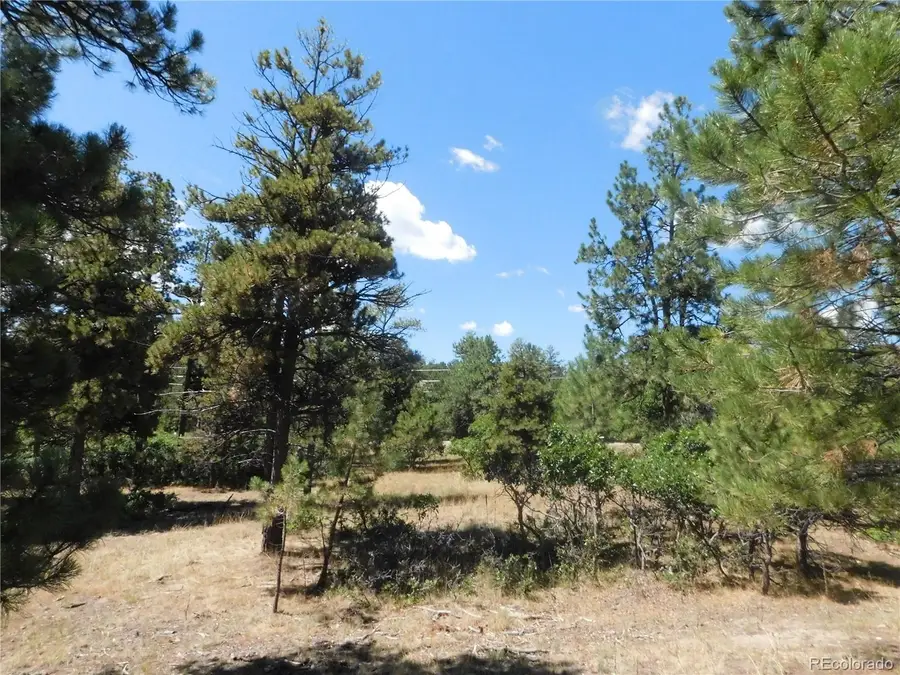1392 Cameron Court, Larkspur, CO 80118 - #3
