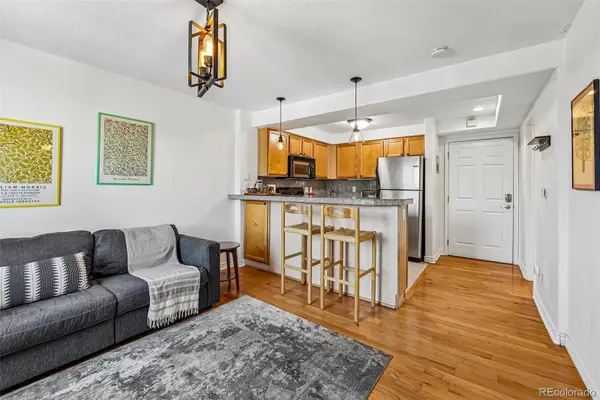 1833 N Williams Street #504, Denver, CO 80218
