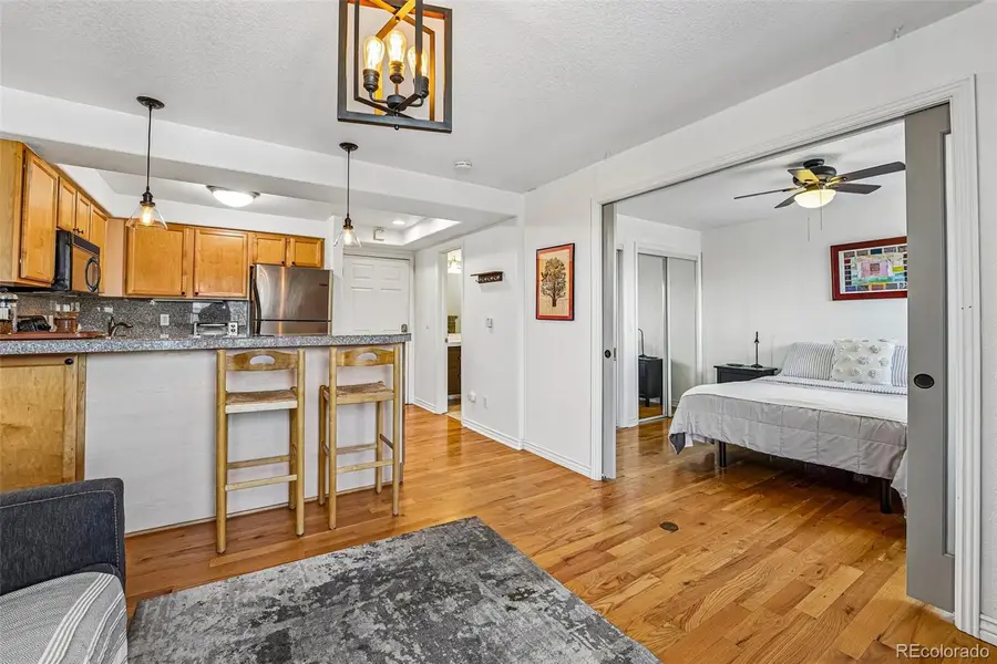 1833 N Williams Street #504, Denver, CO 80218 - #2