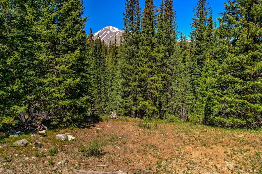 0307 Cr 674, Breckenridge, CO 80424 - #3