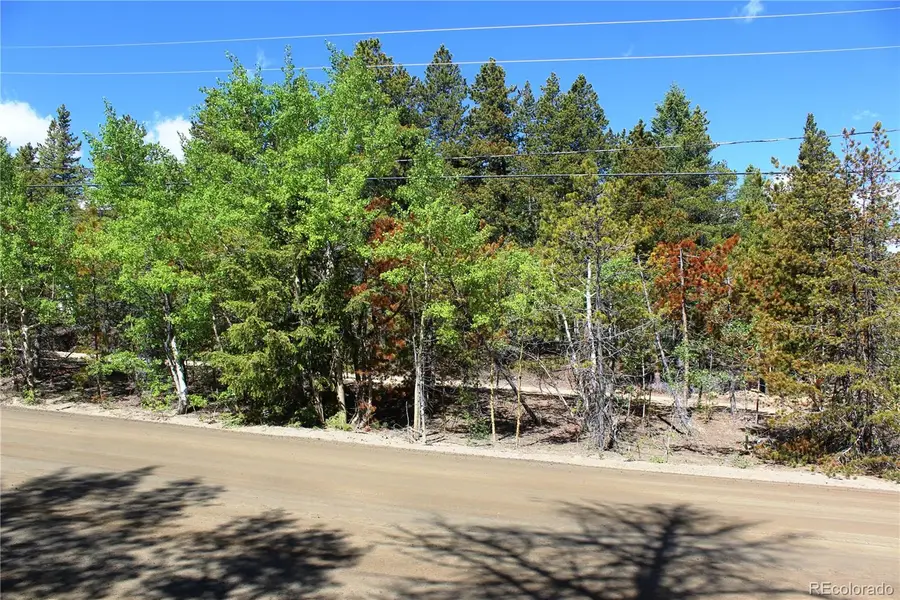 6050 Virginia Canyon Road, Central City, CO 80427 - #2