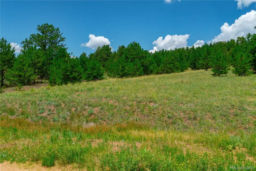 Lot 28 Penrose Circle, Cripple Creek, CO 80813 - #2
