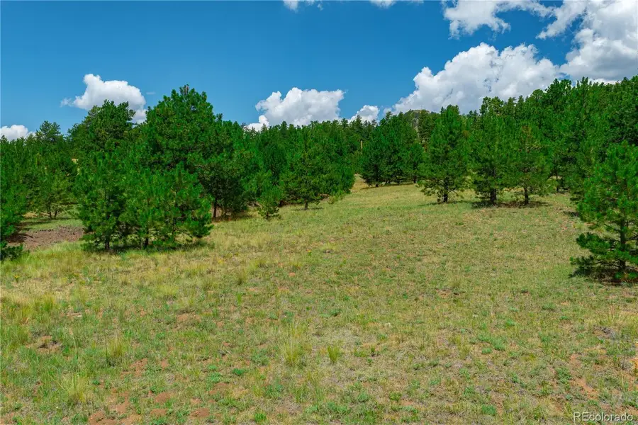 Lot 28 Penrose Circle, Cripple Creek, CO 80813 - #3