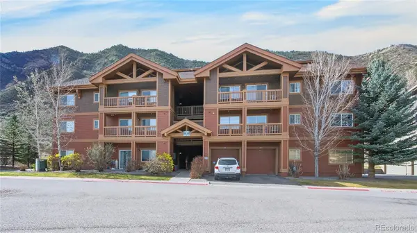 560 River View Drive #706, New Castle, CO 81647