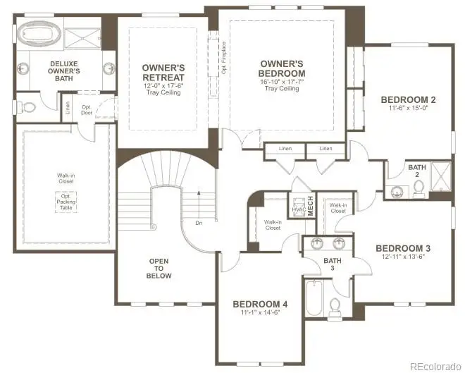 1667 Green Fern Point, Castle Rock, CO 80104 - #3