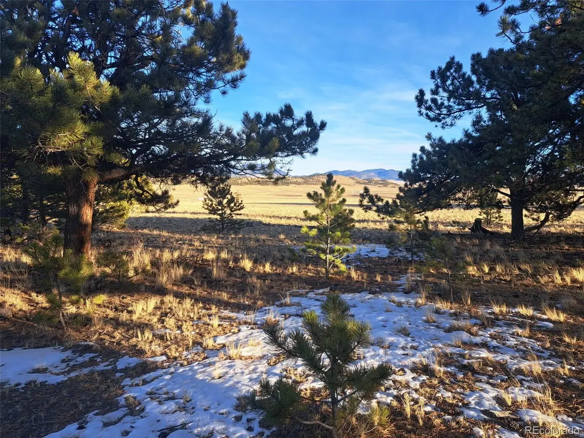 186 Boulder Road, Hartsel, CO 80449 - Image #1