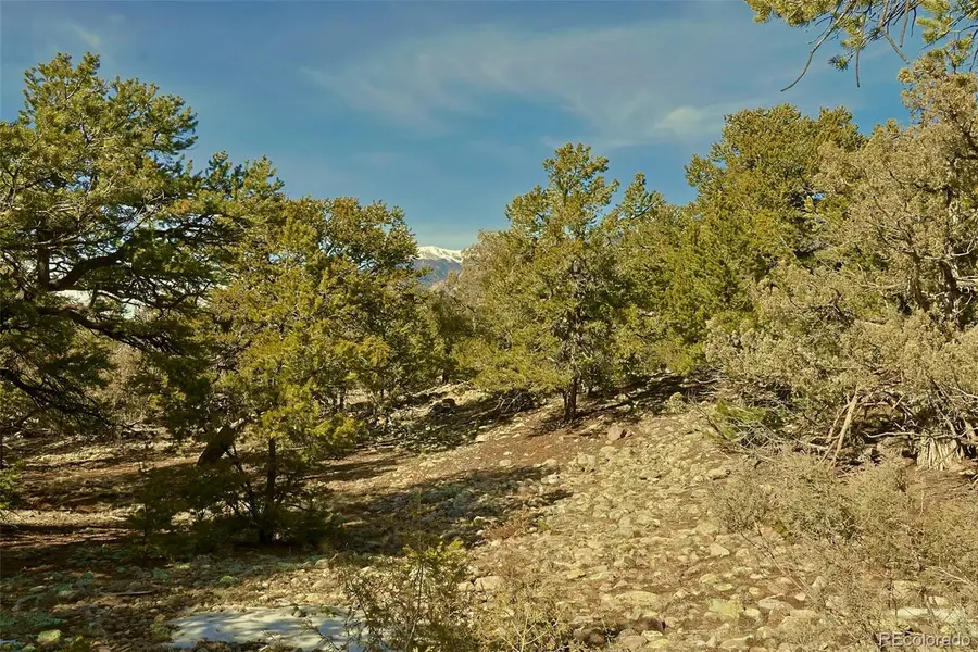 2130 Big Ranch Overlook, Crestone, CO 81131 - #2