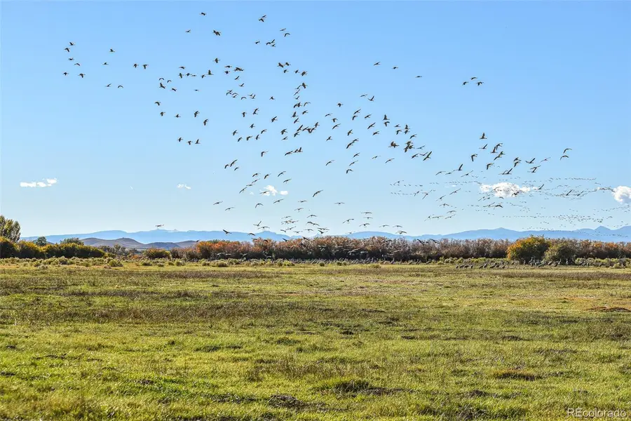 0 County Road 15.5, Blanca, CO 81123 - Image #2