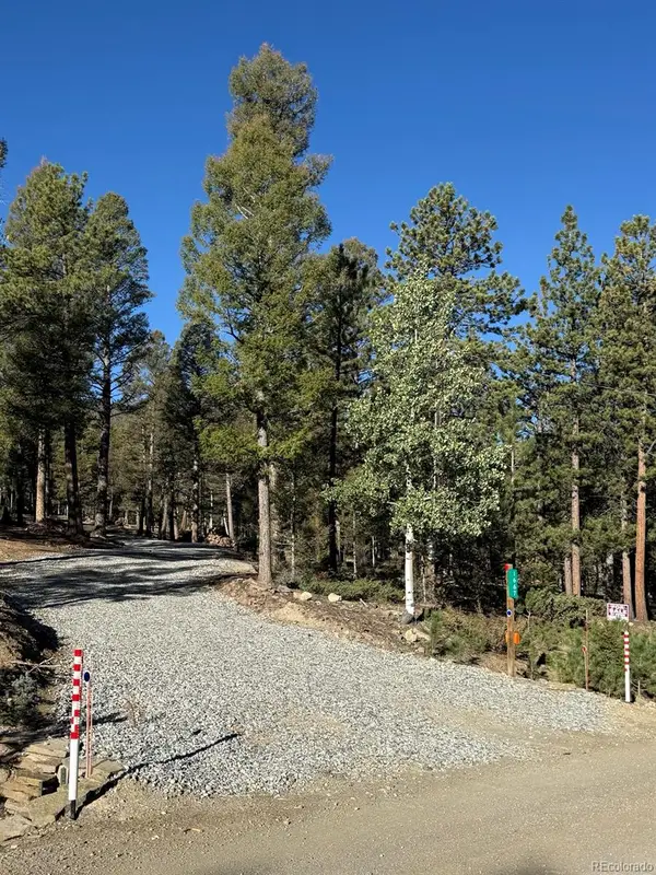 1667 Singletree Road, Hartsel, CO 80449
