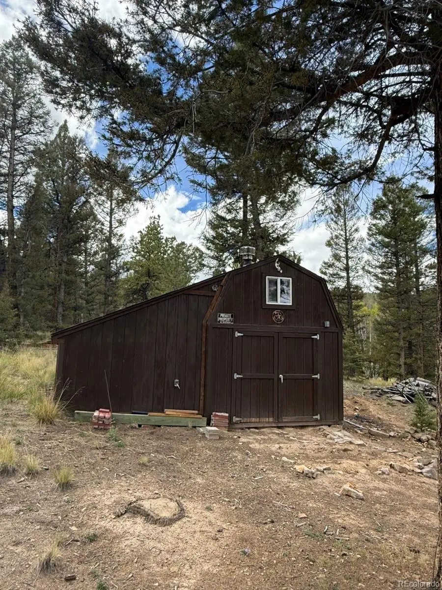1667 Singletree Road, Hartsel, CO 80449 - #2