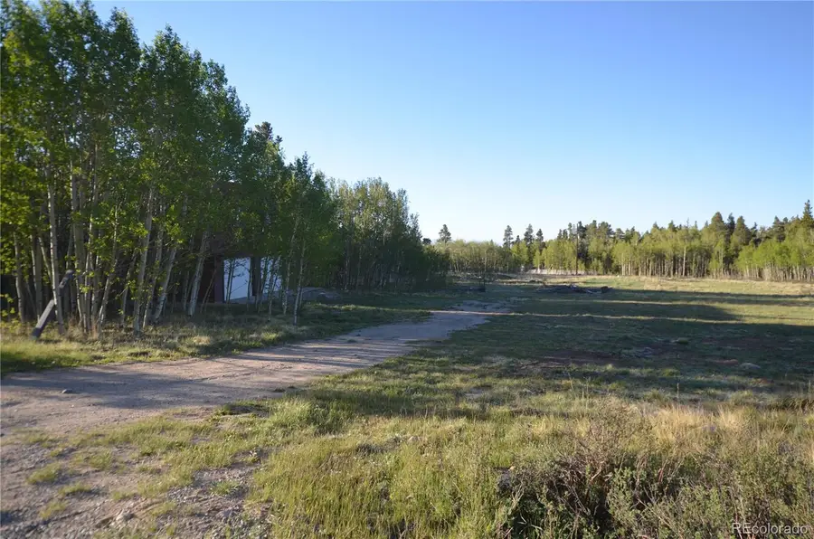 484 Wheat Way Way, Fairplay, CO 80440 - #2