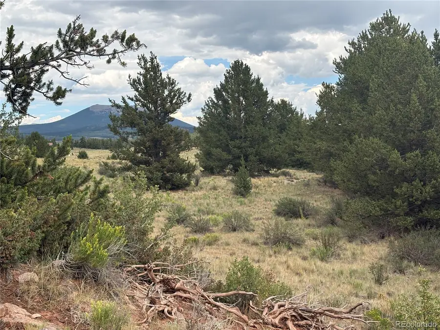 1344 Silverheels Road, Fairplay, CO 80440 - #2