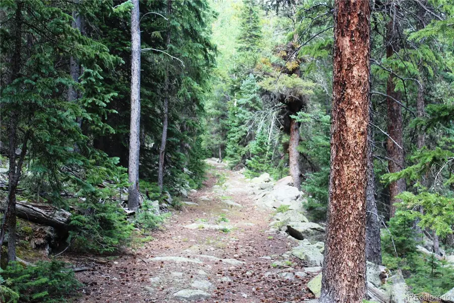 00 Hidden Wilderness Road, Idaho Springs, CO 80452 - #2