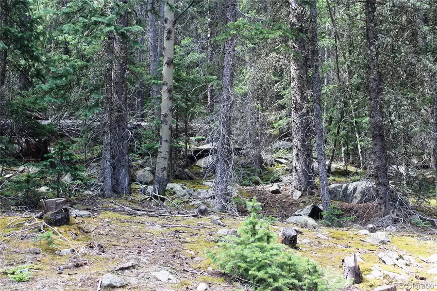00 Hidden Wilderness Road, Idaho Springs, CO 80452 - #3